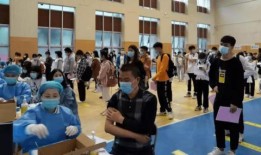 陈泽最新爆料消息新闻,揭秘娱乐圈最新劲爆新闻