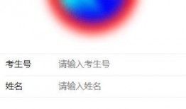 今日广东爆料最新消息查询,揭秘重大事件背后真相