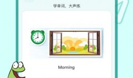 航线爆料最新视频下载安装,揭秘神秘航线背后的精彩瞬间