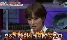 最新爆料的综艺节目有哪些,揭秘最新爆款节目背后的故事