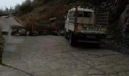 杞县圉镇车祸最新爆料,悲剧现场细节披露，伤亡情况引关注