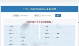今日广东爆料最新消息查询,揭秘重大事件背后真相
