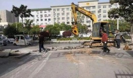 南阳学校爆料事件最新进展,最新调查结果及后续处理情况揭晓