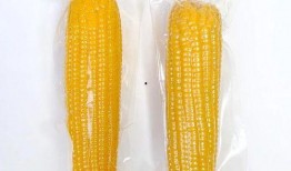 爆料玉米食品安全标准最新,玉米食品安全标准新规，守护餐桌健康