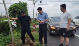 杞县圉镇车祸最新爆料,悲剧现场细节披露，伤亡情况引关注