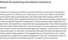 美国新病毒爆料最新消息,最新爆料揭示病毒特征与应对措施