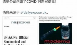 美国新病毒爆料最新消息,最新爆料揭示病毒特征与应对措施