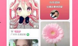 航线爆料最新视频下载安装,揭秘神秘航线背后的精彩瞬间