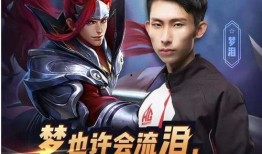 梦泪皮肤爆料最新,神秘元素与独特设计，带你领略电竞风采