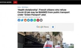 法国病毒爆料视频最新,疫情真相与应对策略深度剖析