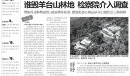 惠东民声爆料事件始末最新消息,最新进展与始末回顾